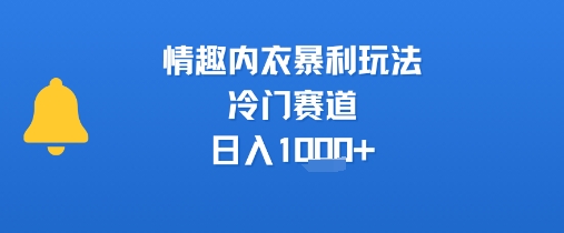 情趣内衣暴利玩法，冷门赛道，日入1k+网赚库-项目库-轻创网-中创网-福缘网-冒泡网-资源之家-魔方项目库网赚库