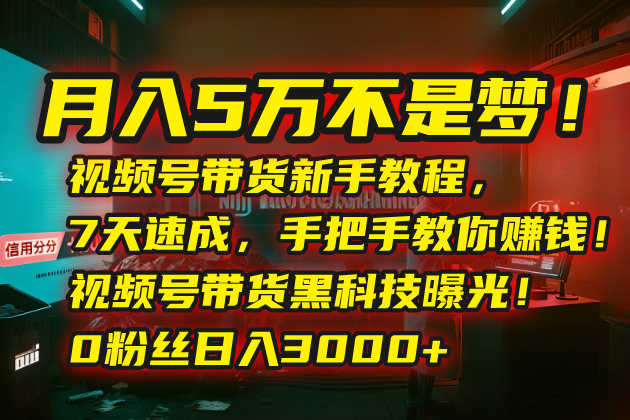 月入5万不是梦！视频号带货新手教程，7天速成，手把手教你赚钱！视频号…网赚库-项目库-轻创网-中创网-福缘网-冒泡网-资源之家-魔方项目库网赚库