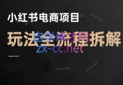 菲菲老师·小红书电商玩法(更新7月)网赚库-项目库-轻创网-中创网-福缘网-冒泡网-资源之家-魔方项目库网赚库