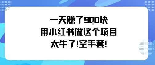 一天挣了9张用小红书做这个项目太牛了，空手套网赚库-项目库-轻创网-中创网-福缘网-冒泡网-资源之家-魔方项目库网赚库