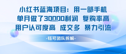 小红书蓝海项目，一部手机单月做了3W利润，小白也能月入过1W用户认可度高成交多网赚库-项目库-轻创网-中创网-福缘网-冒泡网-资源之家-魔方项目库网赚库