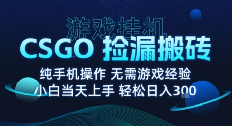 8月最新游戏搬砖，CSGO纯挂G，不需要玩游戏，实现真挂G，月入1W+【揭秘】网赚库-项目库-轻创网-中创网-福缘网-冒泡网-资源之家-魔方项目库网赚库