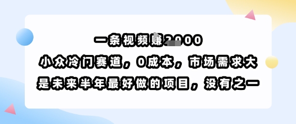一条视频挣1k，小众冷门赛道，0成本，市场需求大，是未来半年最好做的项目，没有之一网赚库-项目库-轻创网-中创网-福缘网-冒泡网-资源之家-魔方项目库网赚库