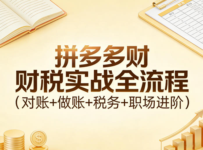 拼多多财税实战全流程(对账+做账+税务+职场进阶)网赚库-项目库-轻创网-中创网-福缘网-冒泡网-资源之家-魔方项目库网赚库