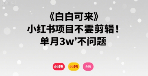 小白可来 小红书项目不需要剪辑 单月3w不是问题网赚库-项目库-轻创网-中创网-福缘网-冒泡网-资源之家-魔方项目库网赚库