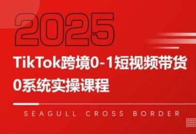 大亿老师·TikTok跨境0-1短视频带货网赚库-项目库-轻创网-中创网-福缘网-冒泡网-资源之家-魔方项目库网赚库