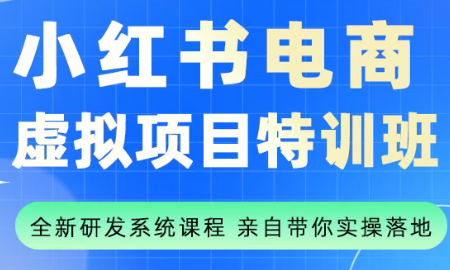 陆明明·小红书虚拟项目特训班(更新9月)网赚库-项目库-轻创网-中创网-福缘网-冒泡网-资源之家-魔方项目库网赚库