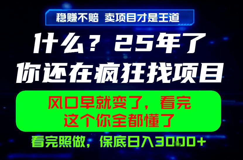 26年，请不要疯狂的找项目做了！卖项目才是真的稳賺不赔，看完照做，保底日入1k+【揭秘】网赚库-项目库-轻创网-中创网-福缘网-冒泡网-资源之家-魔方项目库网赚库