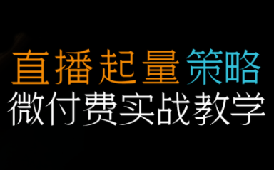 半野老师·直播带货起量与微付费必学课视频号网赚库-项目库-轻创网-中创网-福缘网-冒泡网-资源之家-魔方项目库网赚库