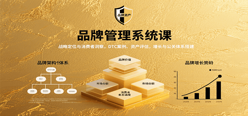 品牌管理系统课：战略定位与消费者洞察，DTC案例、资产评估，增长与公关体系搭建网赚库-项目库-轻创网-中创网-福缘网-冒泡网-资源之家-魔方项目库网赚库