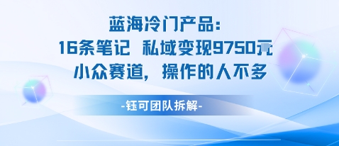 蓝海项目：16条笔记私域变现9750米小众赛道操作的人不多网赚库-项目库-轻创网-中创网-福缘网-冒泡网-资源之家-魔方项目库网赚库