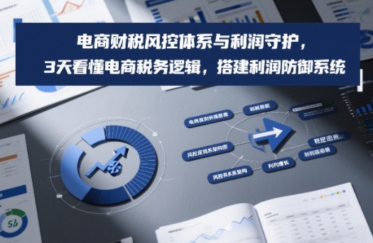 电商财税风控体系与利润守护，3天看懂电商税务逻辑，搭建利润防御系统网赚库-项目库-轻创网-中创网-福缘网-冒泡网-资源之家-魔方项目库网赚库