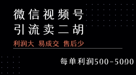 视频号卖二胡教程，利润大 易成交 售后少，一单利润5张+网赚库-项目库-轻创网-中创网-福缘网-冒泡网-资源之家-魔方项目库网赚库