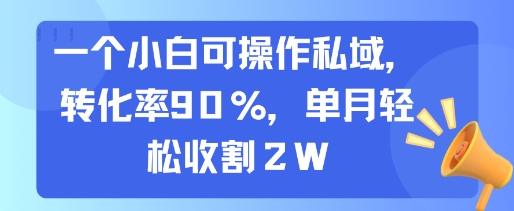 一个小白可操作私域，转化率90%，单月轻松收割2W网赚库-项目库-轻创网-中创网-福缘网-冒泡网-资源之家-魔方项目库网赚库