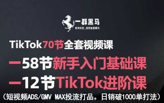 TikTok全套视频课，新手入门+进阶课，短视频ADS-GMV MAX投流打品，日销破1000单打法网赚库-项目库-轻创网-中创网-福缘网-冒泡网-资源之家-魔方项目库网赚库