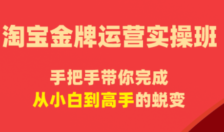 飓风电商·淘宝金牌运营实操班网赚库-项目库-轻创网-中创网-福缘网-冒泡网-资源之家-魔方项目库网赚库