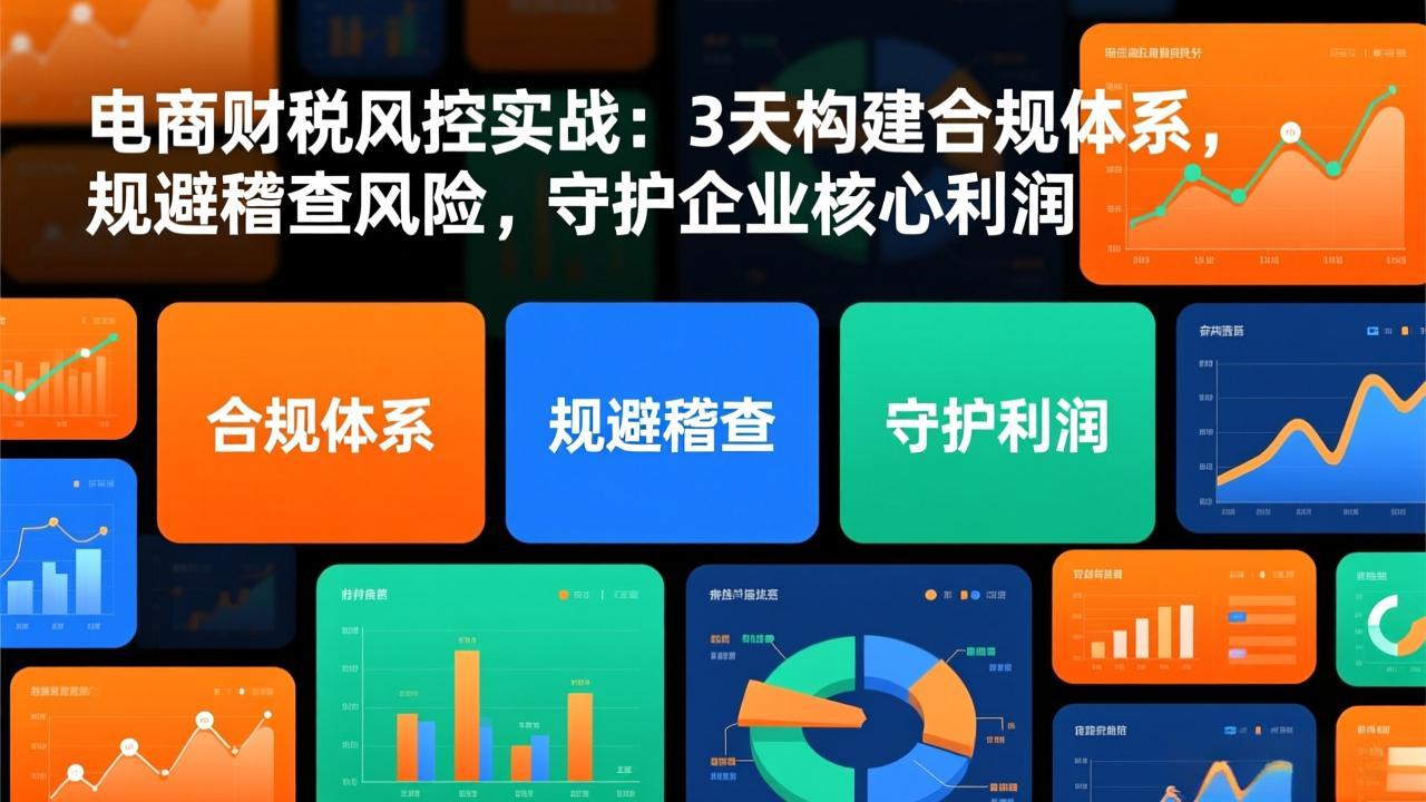 电商财税风控实战：3天构建合规体系，规避稽查风险，守护企业核心利润网赚库-项目库-轻创网-中创网-福缘网-冒泡网-资源之家-魔方项目库网赚库